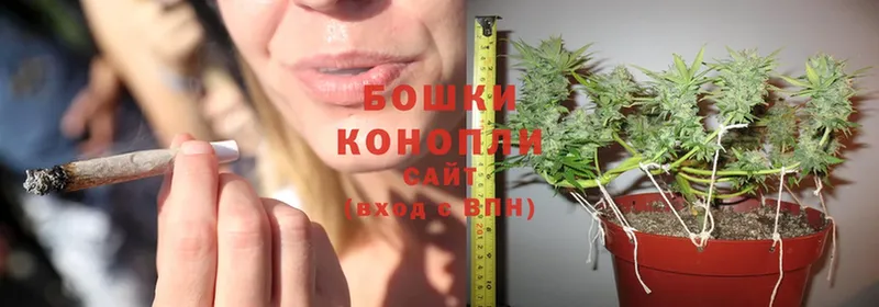 Конопля OG Kush  Невинномысск 